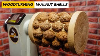 Woodturning Walnut Shells into a Lamp [upl. by Ainegul]