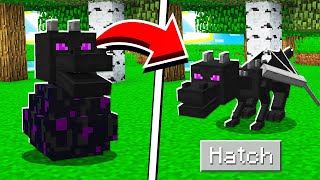 How to HATCH the ENDER DRAGON EGG in Minecraft Tutorial [upl. by Initirb]