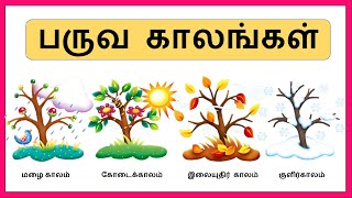 Learn Season Names for Kids in Tamil  Seasons in India seasons name  பருவ காலங்கள் [upl. by Erhart]