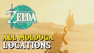 Zelda Tears Of The Kingdom All Molduga Locations [upl. by Ycart983]