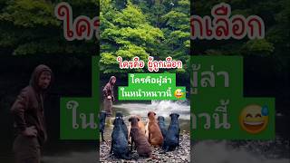 นักล่าไก่ ในแม่น้ำ 😲 สัตว์โลกน่ารัก pets animaldog สุนัข [upl. by Nnylrac]