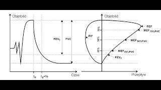 Spirometria interpretacja rozpoznawanie obturacji i restrykcji [upl. by Moncear856]