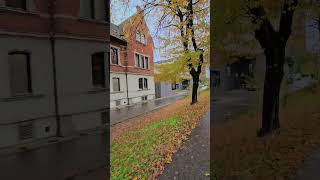 🗓A day in my life🍂 Almaniya vlog asmr travel regensburg 4k almanya germany cook chef [upl. by Ecertap822]