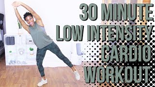 30 Minute LIIT Cardio Workout  Fat Burning  Low Intensity Interval Training [upl. by Ybot]