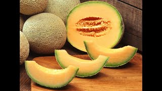 Cantaloupes 101  Herbs and Spices That Go With Cantaloupe [upl. by Lyndy]