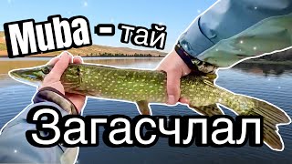 Цурхайтай 🎣Загасчлал🎣 Northern pike fishing in Mongolia [upl. by Bloch969]