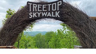 Anakeesta Treetop Skywalk Gatlinburg [upl. by Goldstein]