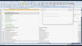 Using XBRL Sheet in Excel [upl. by Macdermot]