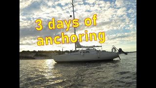 Cruising Denmark Epi 07  Sailing and anchoring 3 days at Juelsminde Fænø Gamborg Fjord [upl. by Annairt]