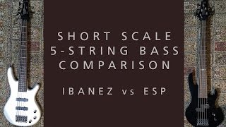 ShortScale 5 String Bass Comparison  Ibanez GSRM25 Mikro vs ESP LTD B 5JR 5  Demo Review 2 [upl. by Ainud]