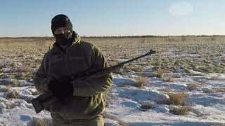 Crookstown Minnesota coyote hunt [upl. by Belford807]