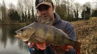 Fishing For Big Perch  A New PB [upl. by Ecinehs]