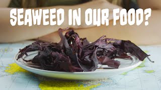 Why is seaweed in food  Seaweed Part 2 [upl. by Eicyal]