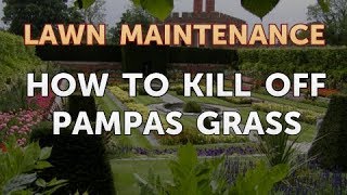 How to Kill Off Pampas Grass [upl. by Nwahsel246]