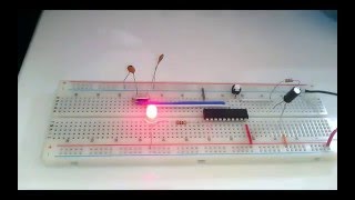 How to program the AT89C2051 chip using the universal programmer TL866 [upl. by Convery953]