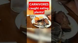 CARNIVORES caught eating plants carnivore carnivorediet ketodiet [upl. by Dulla]