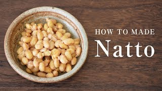 How to Make Natto  A Tutorial on How to Make Homemade Fermented Soybeans [upl. by Milks]