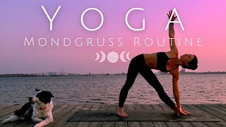 Mondgruß Routine │ Yoga für Anfänger │ 15 Minuten │Yoga für den Abend │ mit Musik [upl. by Laflam117]