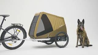 Croozer Tammo Dog Bike Trailer  XLarge Dogs [upl. by Gardia]