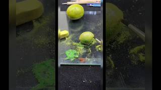 Lime Clay modeling part2 short claytutorial art clayart artandcraft claymodelling claying [upl. by Dareece140]