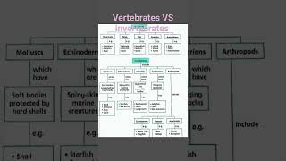 Vertebrates VS Invertebrates biology science vertebrates [upl. by Coltin]