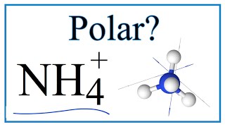 Is NH4 Polar or Nonpolar Ammonium ion [upl. by Anem699]