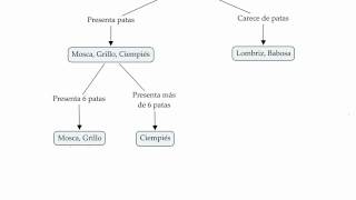 Tutorial Elaboración de claves dicotómicas [upl. by Dal]