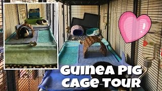 Guinea Pig Cage Tour January 2017  TripleWide Midwest Critter Nation [upl. by Brink]