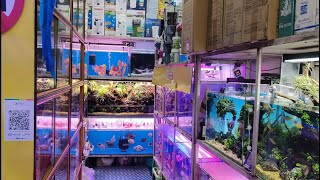 KOLKATA BEST AQUARIUM SHOP [upl. by Auroora26]