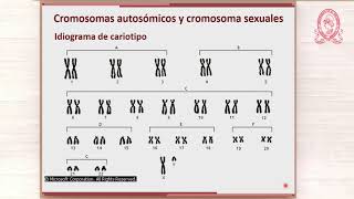 VC Genética anormalidades cromosómicas numéricas [upl. by Megan121]