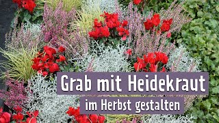 GrabGestaltung Tolle Herbstbepflanzung mit Erika  MDR Garten [upl. by Ytsihc455]