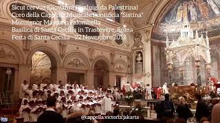 Palestrina  Sicut cervus  Coro della Cappella Musicale Pontificia quotSistinaquot [upl. by Ecerahs]