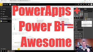 Learn to use the PowerApps Power BI Visual [upl. by Nuawed288]