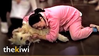 Heartbreaking moment owner says goodbye to her beloved dog [upl. by Kondon]