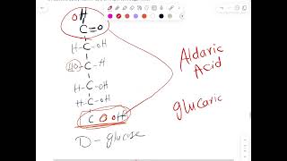 Monosaccharides derivatives [upl. by Nithsa]