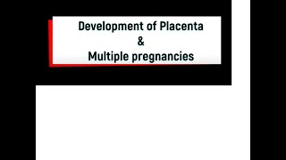 Development of Placenta and Multiple pregnancies [upl. by Kampmann]