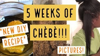 FIVE WEEKS OF AFRICAN CHEBE POWDER  NEW RECIPE [upl. by Nedda]