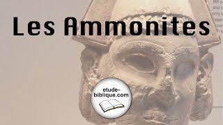 Les Ammonites [upl. by Maje]