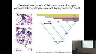 Tuesday Talks Why public engagement amp representation in science matters [upl. by Sower913]