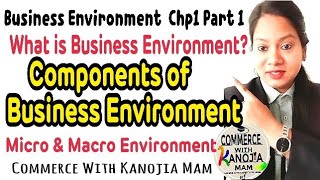 Business Environment  Components of business environment  Micro amp Macro Environment  Bcom Mcom [upl. by Angel]