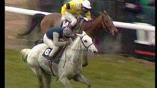 The Story of Desert Orchid [upl. by Fineberg]