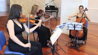 Abril Ensemble  Canticorum Jubilum de GF Handel [upl. by Ekud844]