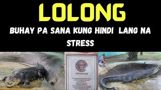 LOLONG [upl. by Yovonnda]