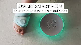 Owlet Smart Sock Full Review  18 Month Using It [upl. by Roze175]