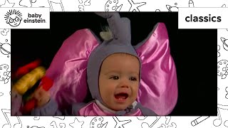 World Animal Adventure Part 3  Animal Videos for Kids  Baby Einstein [upl. by Yoj170]