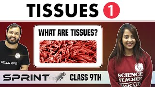 Tissues 01  What are Tissues  Class 9  NCERT  Sprint [upl. by Asseral]