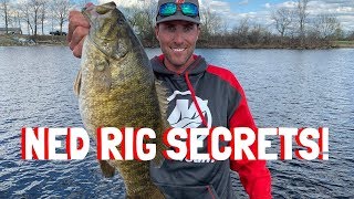 New Trick to the Ned Rig that might help you catch a few more bass this year  Ned Rig Secrets [upl. by Hach]