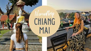 Digital Nomads Paradise Chiang Mai [upl. by Aened448]