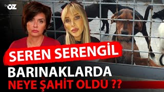 SEREN SERENGİL BARINAKLARDA NEYE ŞAHİT OLDU [upl. by Hugon]