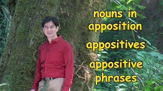 Appositives or Nouns in Apposition  Meaning Use and a Memory Trick  Ask Cozy Grammar [upl. by Sneed304]